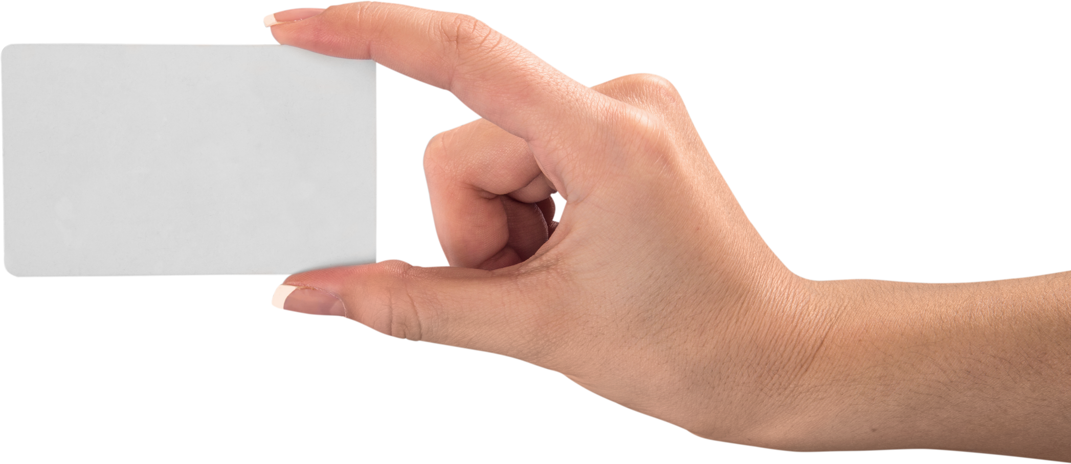 Hand Holding an Empty Business Card